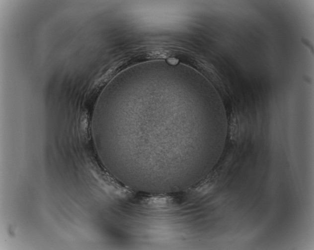 X0000100350314200806061120