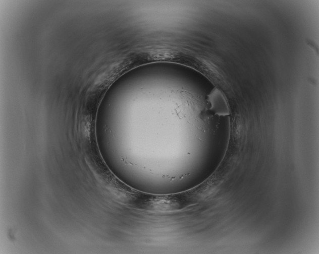 X0000100350315200806061120