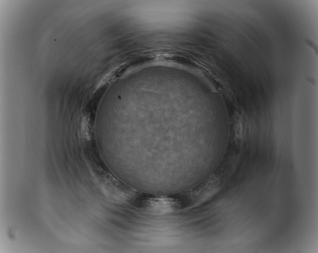X0000100350316200806061120