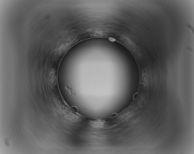 X0000100350318200806061120
