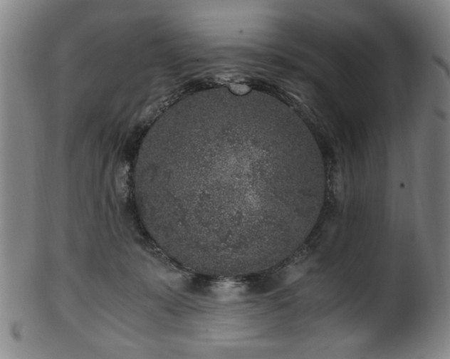 X0000100350319200806061120
