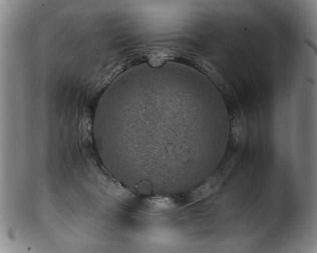 X0000100350322200806061120