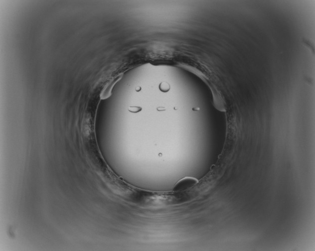 X0000100350323200806061120