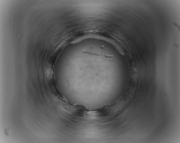 X0000100350324200806061120