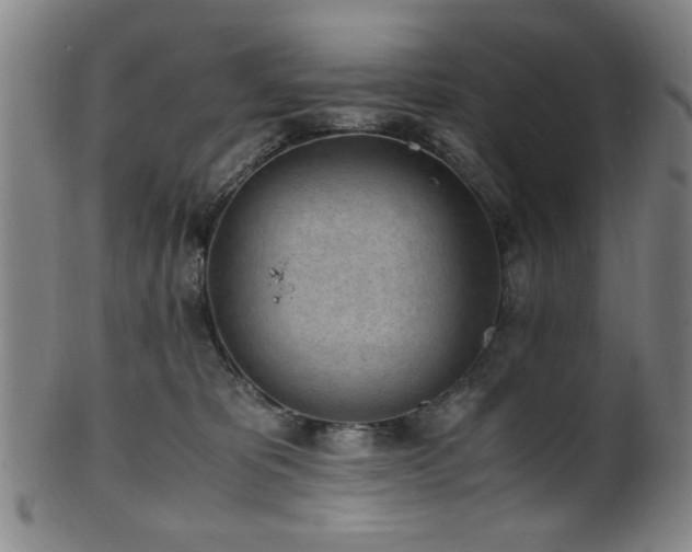 X0000100350325200806061120