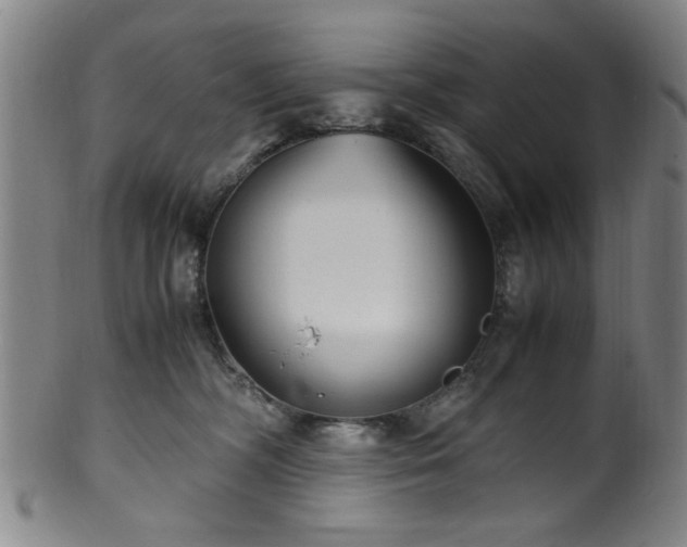 X0000100350326200806061120