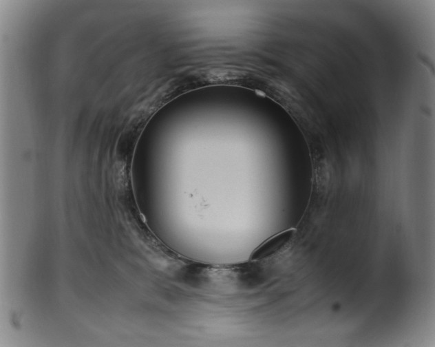 X0000100350327200806061120