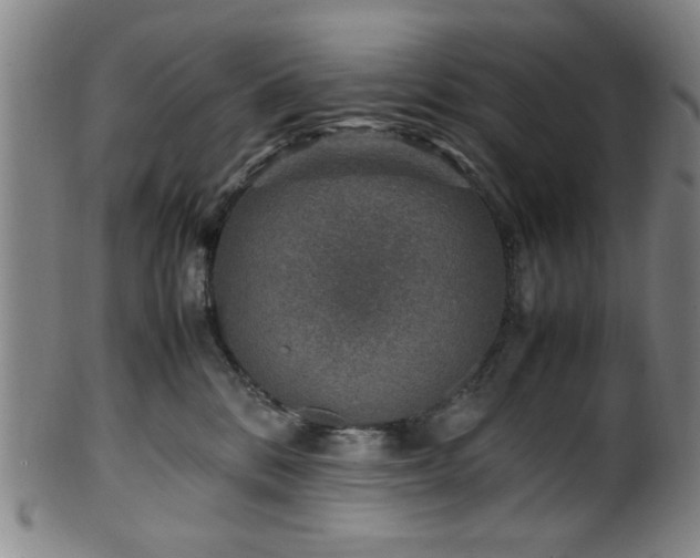 X0000100350328200806061120
