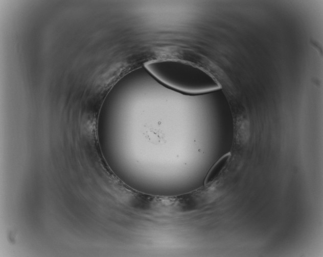 X0000100350329200806061120