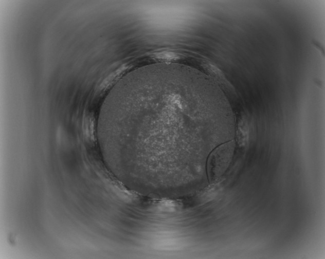 X0000100350330200806061120