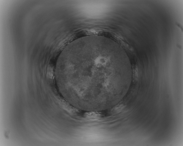 X0000100350331200806061120
