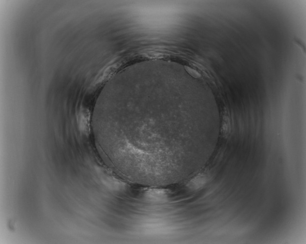 X0000100350332200806061120