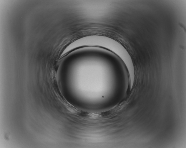 X0000100350333200806061120