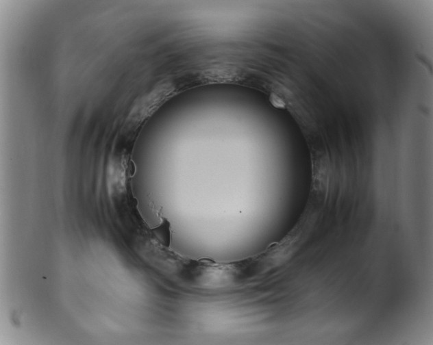 X0000100350334200806061120