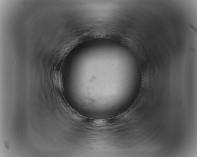 X0000100350335200806061120