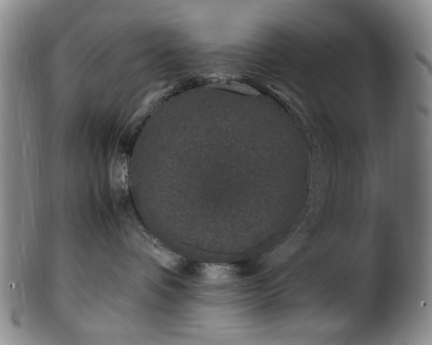 X0000100350336200806061120