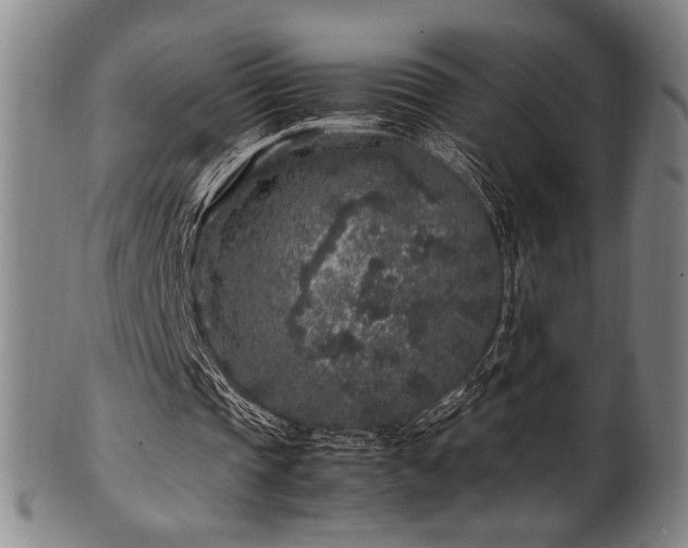 X0000100350337200806061119