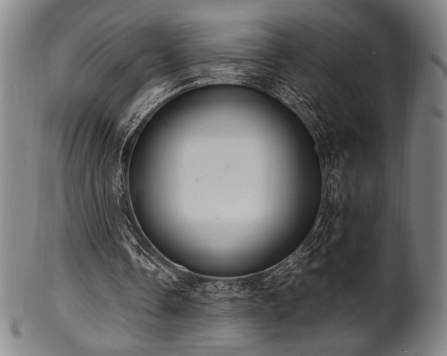 X0000100350338200806061119