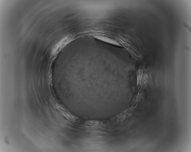 X0000100350339200806061119
