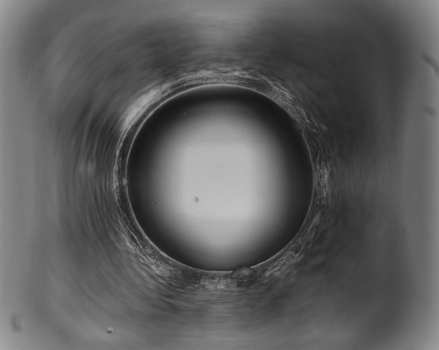 X0000100350340200806061119