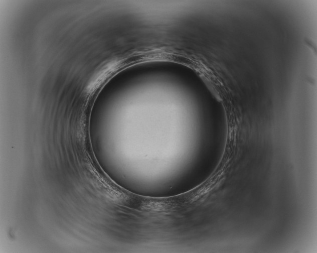 X0000100350341200806061119