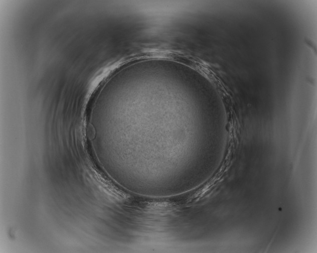 X0000100350342200806061119