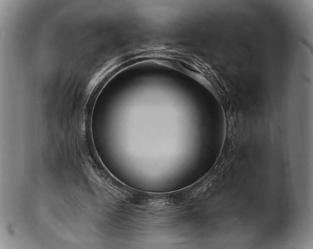 X0000100350344200806061119