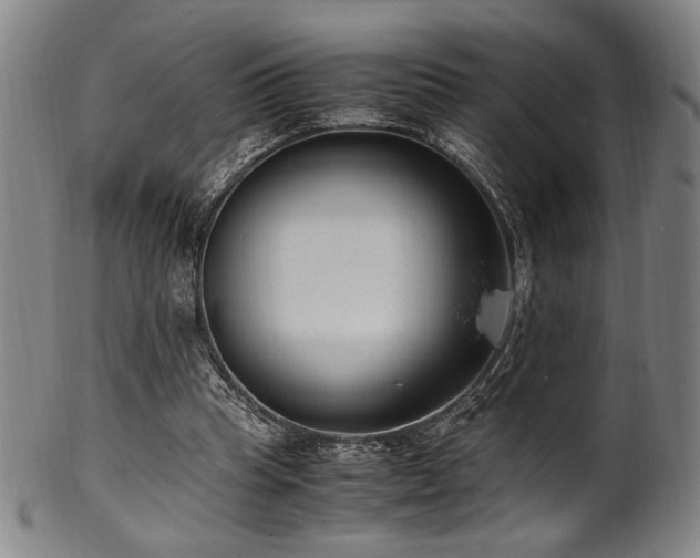 X0000100350345200806061119