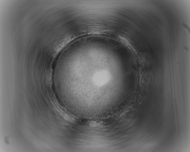 X0000100350346200806061119