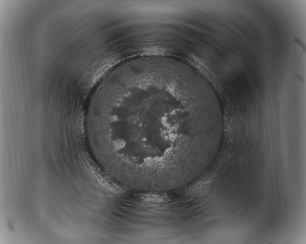 X0000100350347200806061119