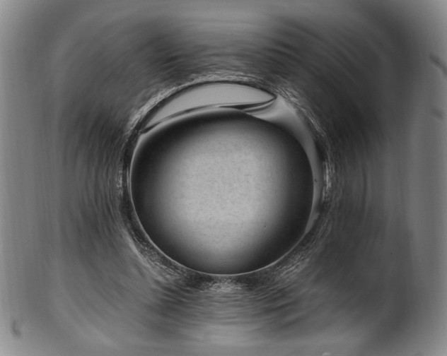 X0000100350348200806061119