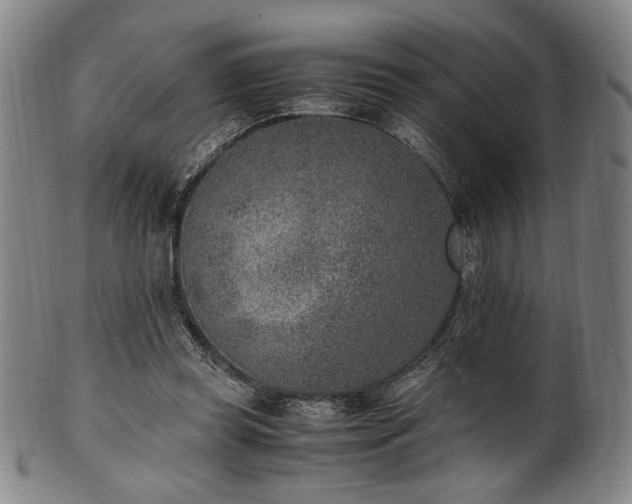 X0000100350349200806061119