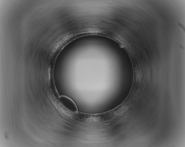 X0000100350350200806061119