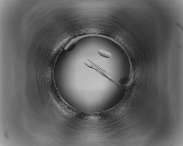 X0000100350352200806061119