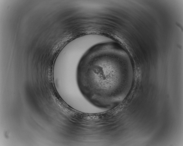 X0000100350353200806061119