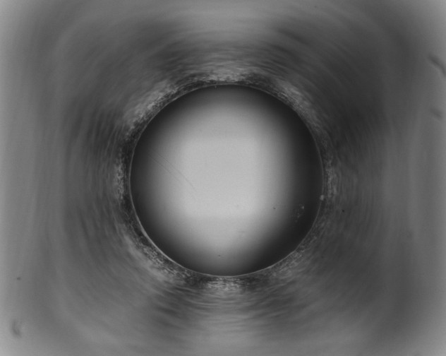 X0000100350354200806061119