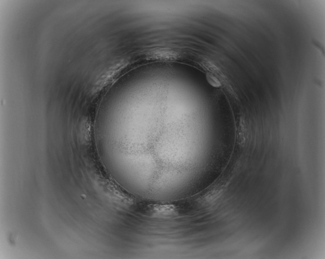X0000100350355200806061119
