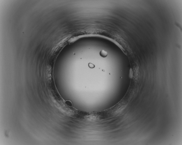 X0000100350356200806061119