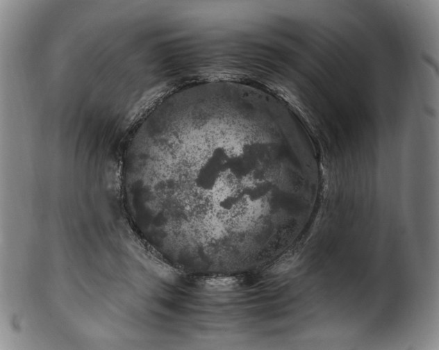 X0000100350357200806061119