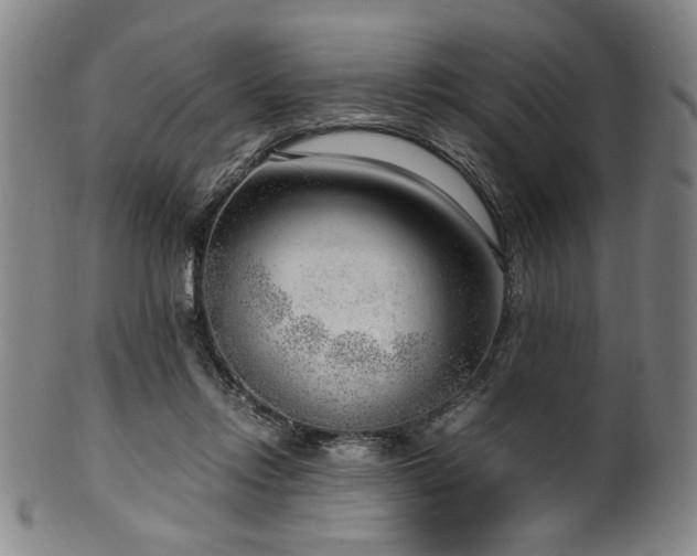 X0000100350358200806061119