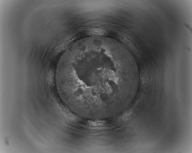 X0000100350359200806061119