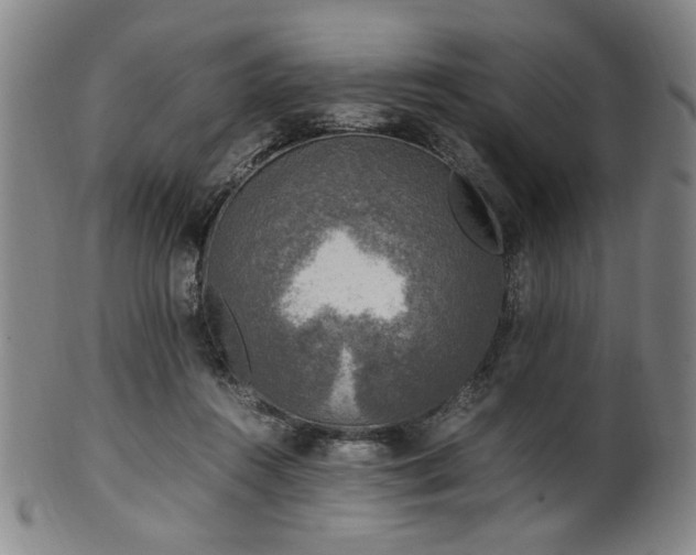 X0000100350360200806061119