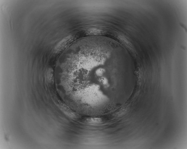 X0000100350361200806061119