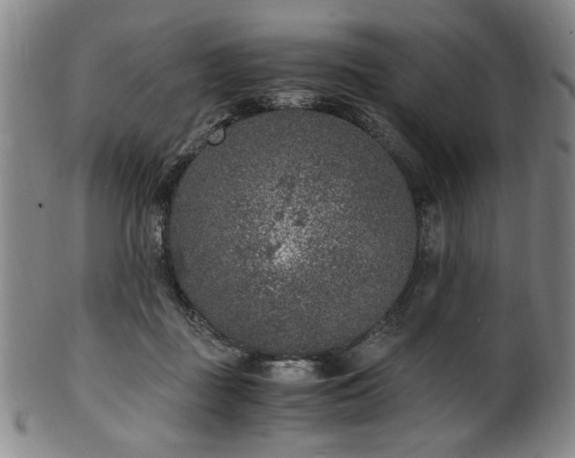 X0000100350363200806061119