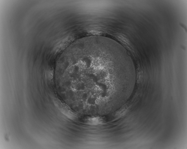 X0000100350365200806061119