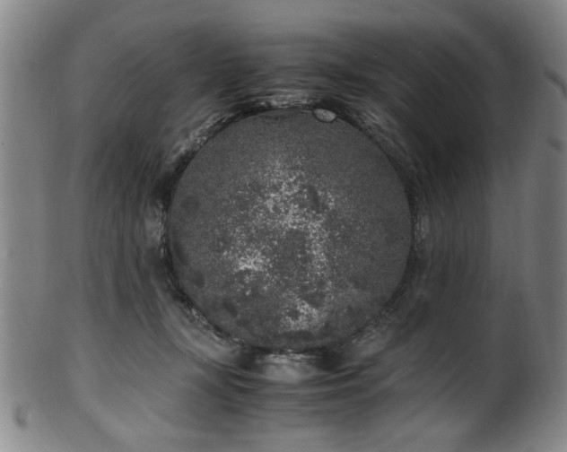 X0000100350367200806061119