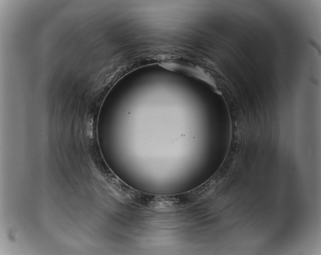 X0000100350368200806061119