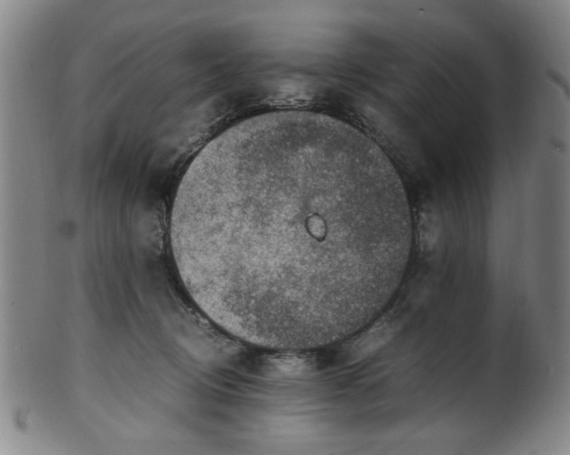X0000100350370200806061119