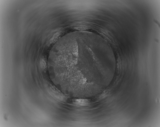X0000100350371200806061120