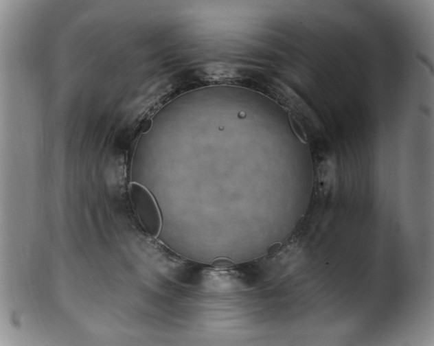 X0000100350372200806061120